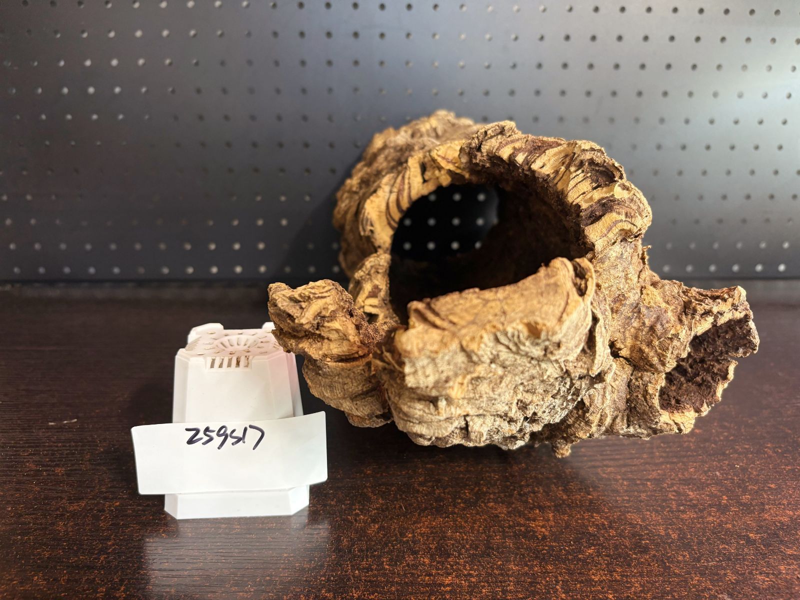 259S17 ポルトガル産 キャノンコルク コルク樹皮 コルク板 バージンコルク 送料無料 チランジア ビカクシダ 着生ラン 両生類 爬虫類 YUZUMIYA_COM