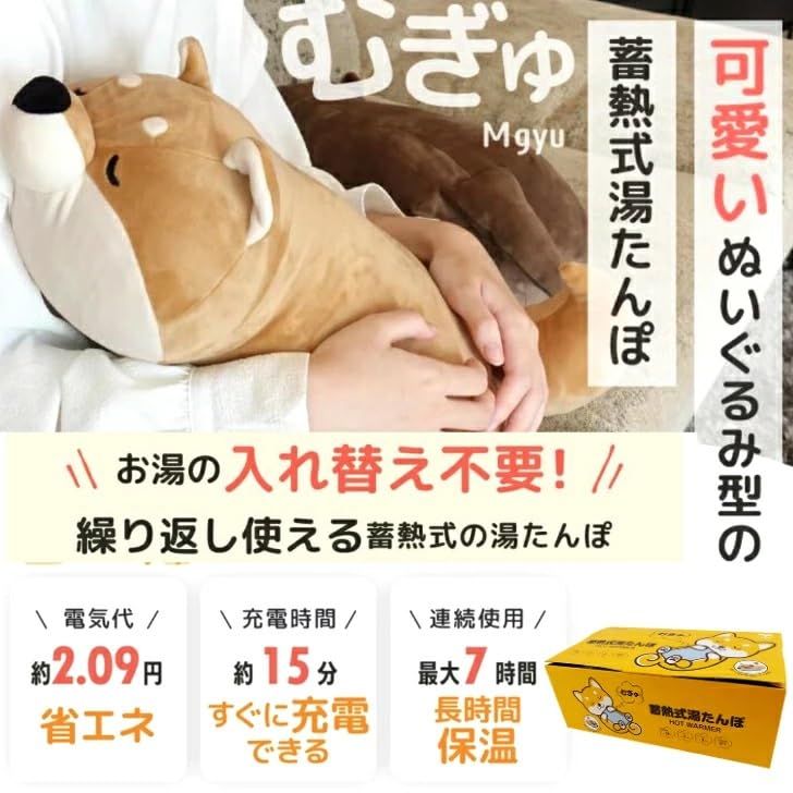 蓄熱式湯たんぽ