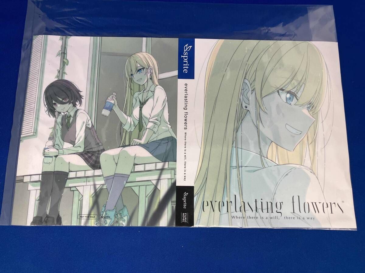 PS4 everlasting flowers 初回限定特装版 - メルカリ