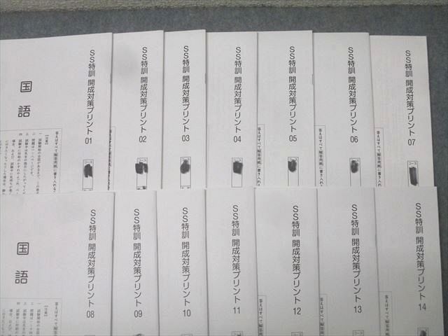 SAPIX サピックス SS特訓 開成対策プリント 01〜14 国語 計14回分セット 2024 024S2D SAPIX サピックス SS特訓 開成対策プリント 01～14 国語 計14