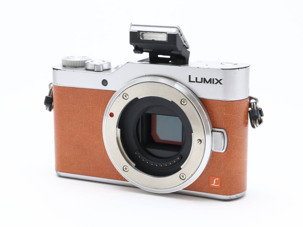 Panasonic LUMIX GF9 ダブルレンズキットオレンジミラーレス一眼