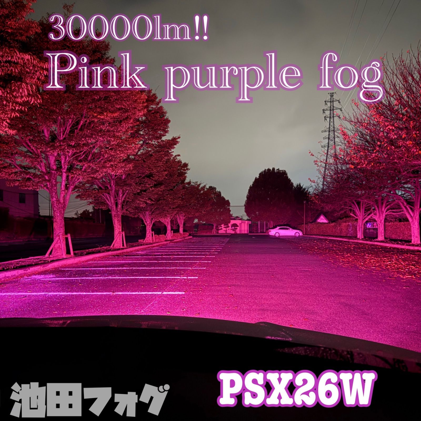 人気！韓国苗☆フライバード AZONE INTERNATIONAL::えっくす☆きゅーと::商品詳細