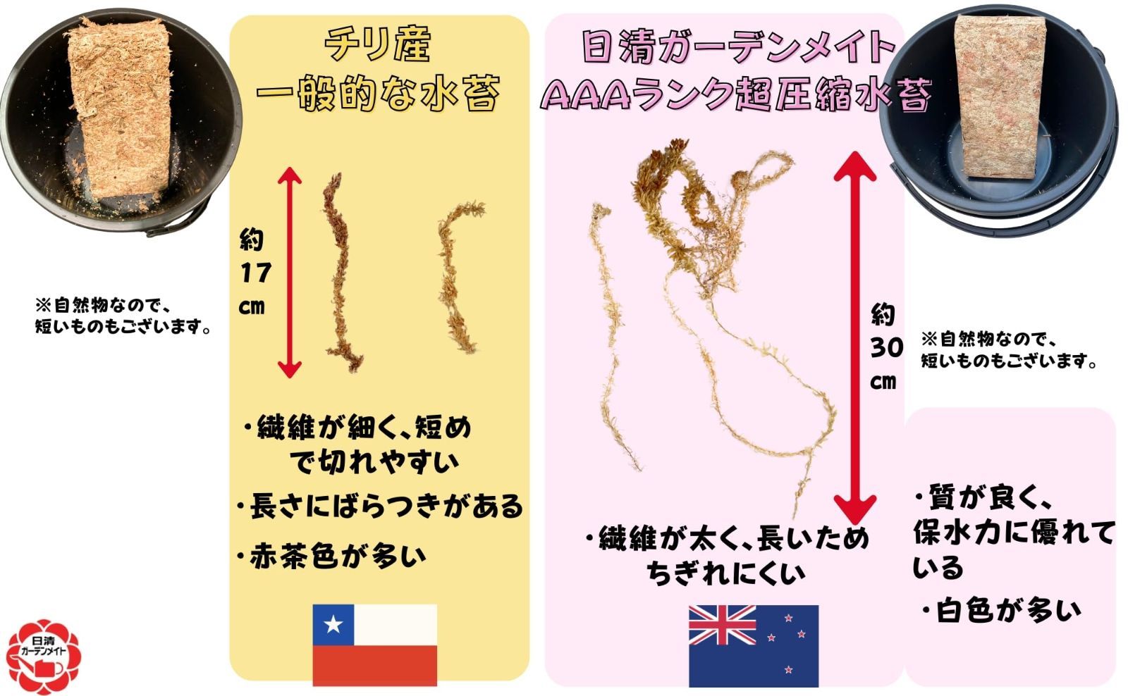 全国総量無料で 米 外装箱・外箱付 状態悪し ふつ 中田勇次郎著 図版篇/研究篇 書道