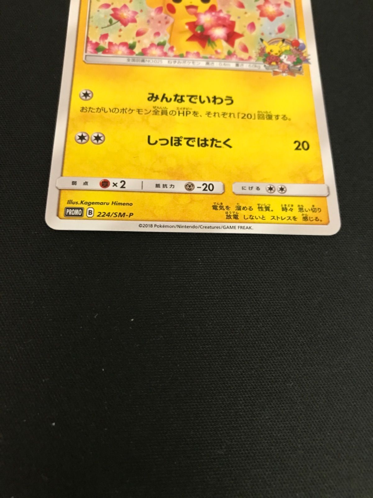 ピカチュウ プロモ みんなでいわう ポケモンカード ピカチュウ プロモ みんなでいわう 224/SM-P