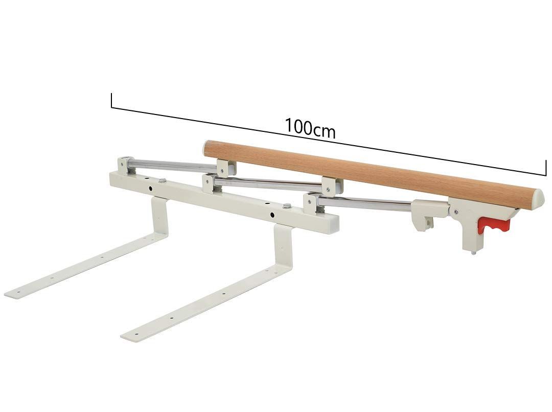 敬老の日値下げ】ニトリ電動介護用ベッドセレサ3本体+サイドガード