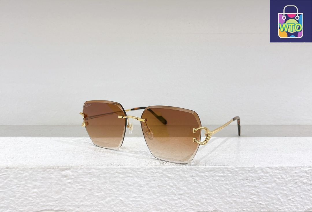 Cartie モデル CT 0466 S サングラス メガモードアイウェア メガネ -WTO輸入1