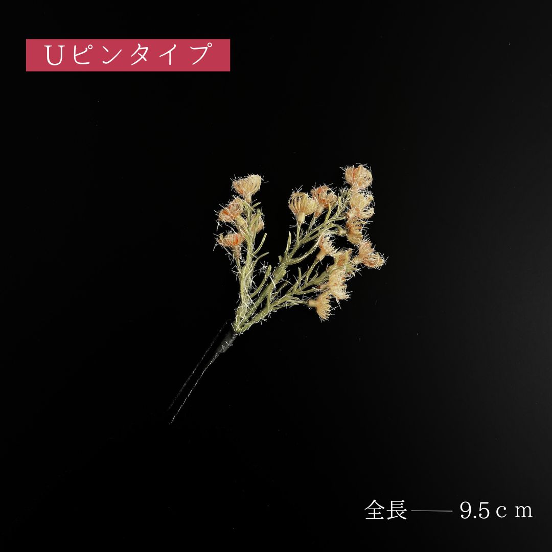 成人式