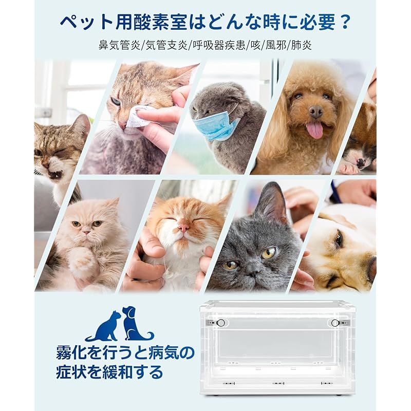 Lサ