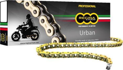 Regina / レジーナ 428 EB-ORO ドライブチェーン | 126EB-ORO/008