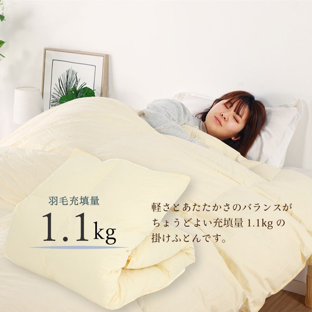 アイボリー 丸八