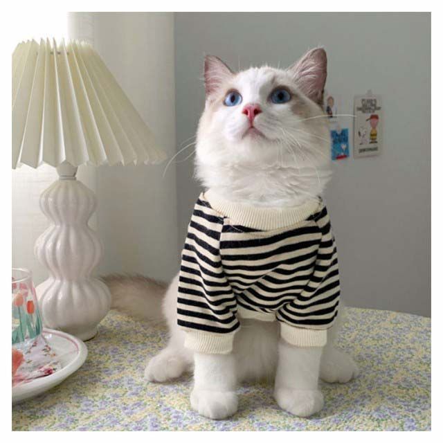 トレーナー キャットウェア