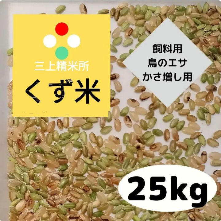 令和4年産 あきたこまち くず米 - 食品