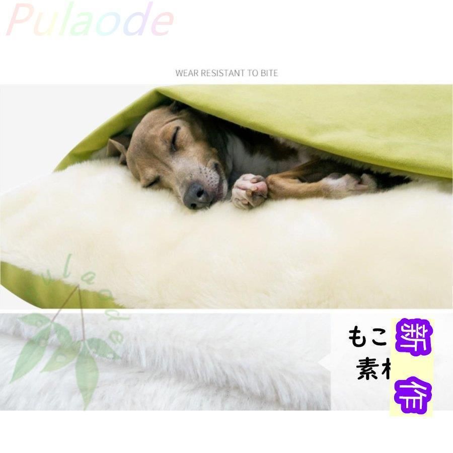 中型 大型