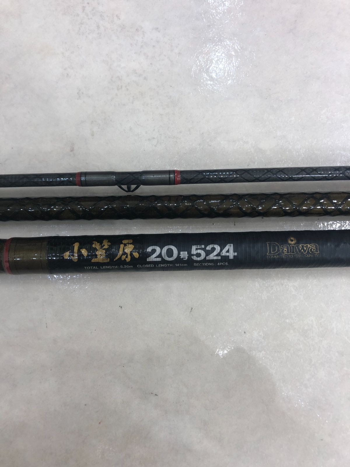 Daiwa カーボウイスカー 小笠原 24号 524 abitur.gnesin-academy.ru