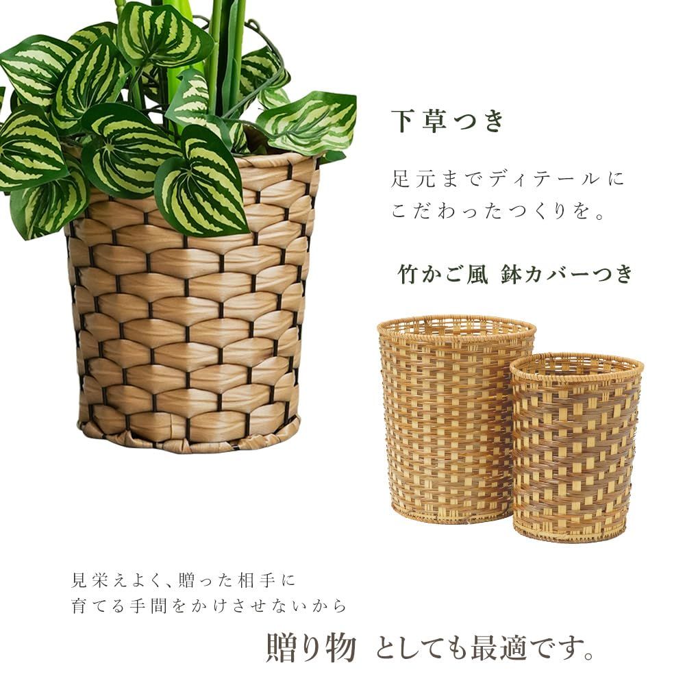 オフィス リビング