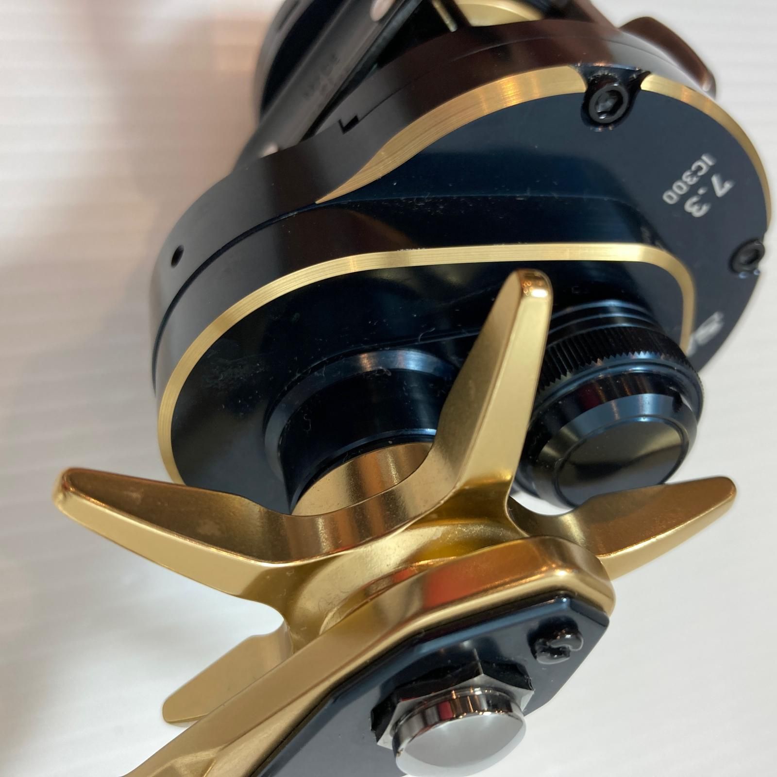 DAIWA - ττDAIWA ダイワ ベイトリール 21ソルティガIC300 3034725 DAIWA（釣り） ベイトリール ダイワ 21SALTIGA(ソルティガ) IC