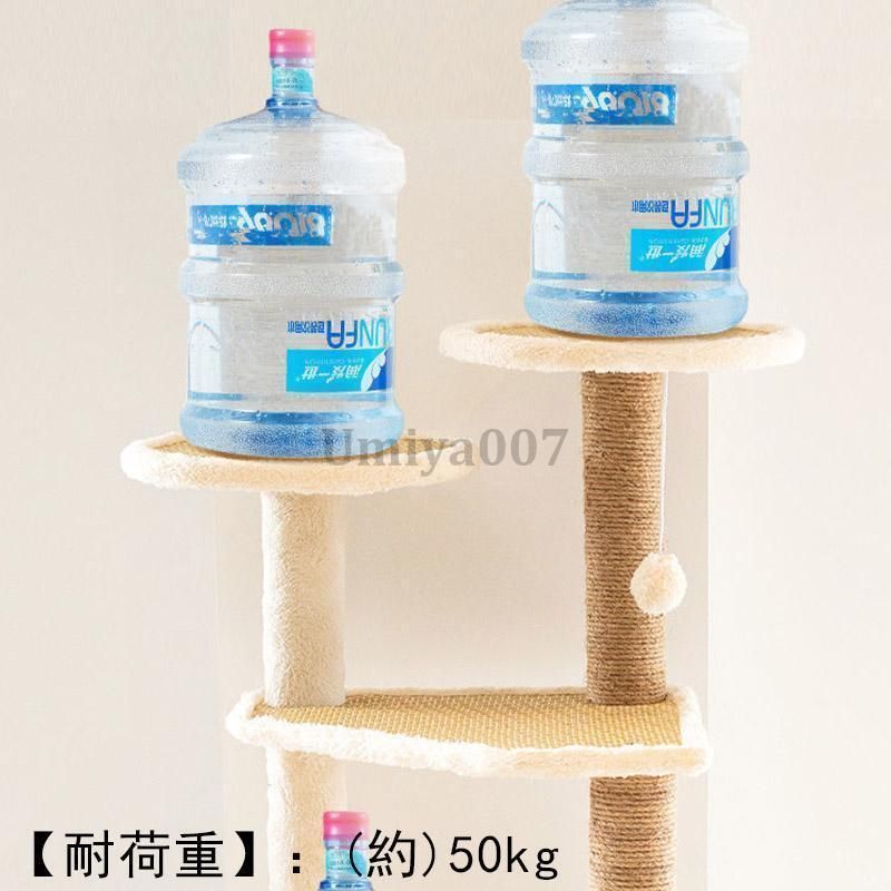 運動不足 頑丈