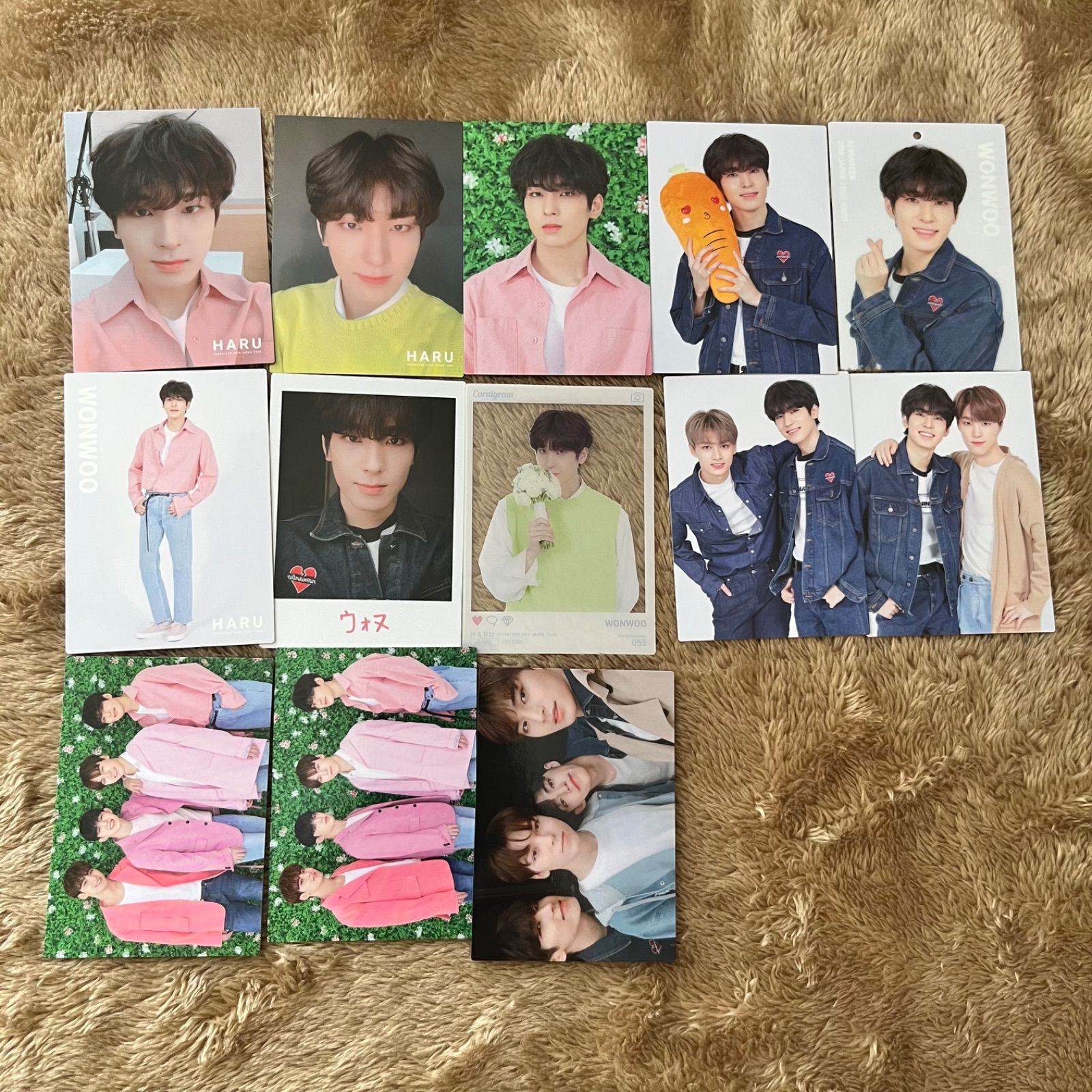 SEVENTEEN HARUトレカ コンプリートセブチ - draraisagastro.com.br