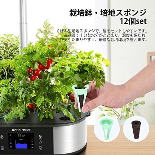 JustSmart 水耕栽培キット 室内 水耕栽培 おしゃれ 家庭菜園 育苗