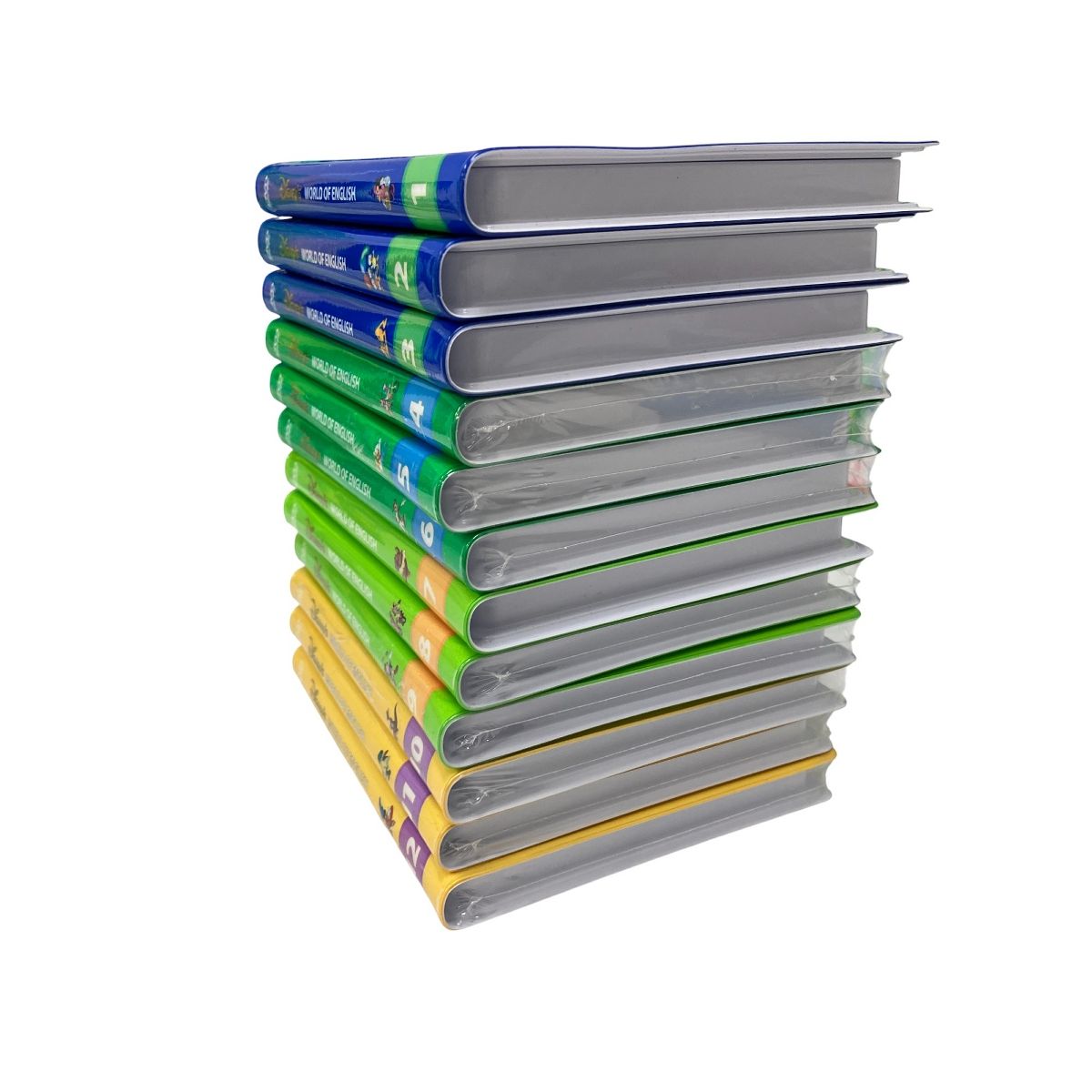  DWE メインプログラム シングアロング等 2019年頃 ディズニーワールドオブイングリッシュ 英語 教材 知育玩具 ベビー キッズおもちゃ