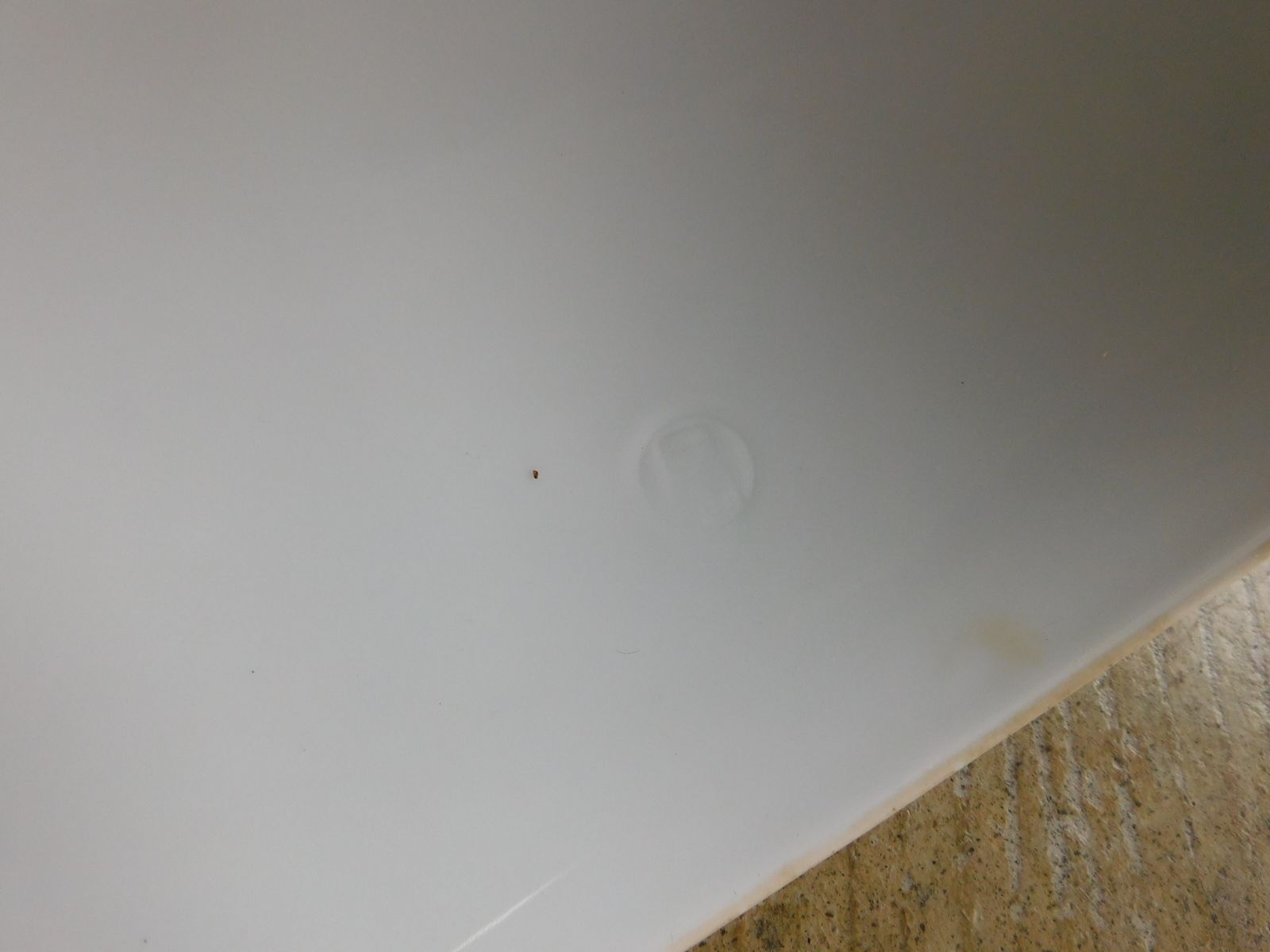 日陶 ノリタケ アールデコ 花の図 電笠 HK-a-05612 アンティーク 電傘 ランプシェード 照明 シーリングライト ノリタケ NEXPOTALLINN_EU