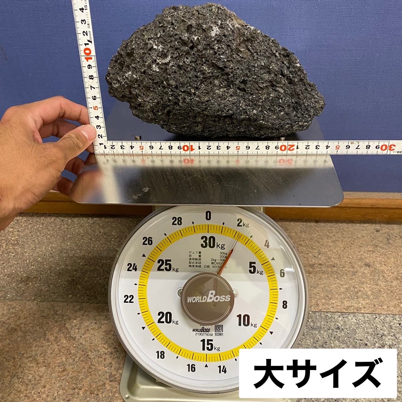 富士溶岩石 12kg アクアリウム 水槽レイアウト コケリウム 龍王 ADA - メルカリ