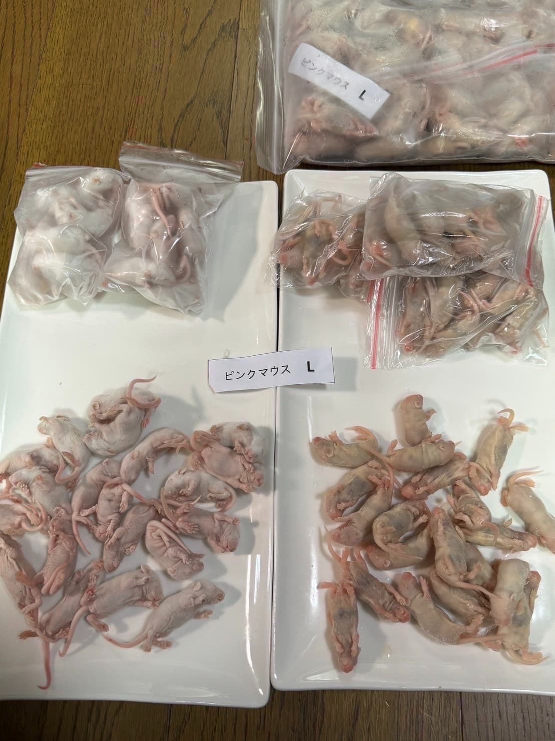 国産冷凍ピンクマウスL.XL 300匹 4.0g~6.5g 全国送料無料