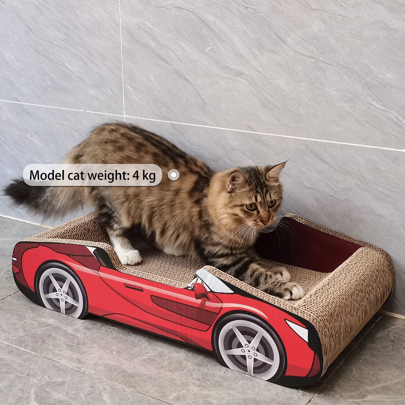 猫の遊び場