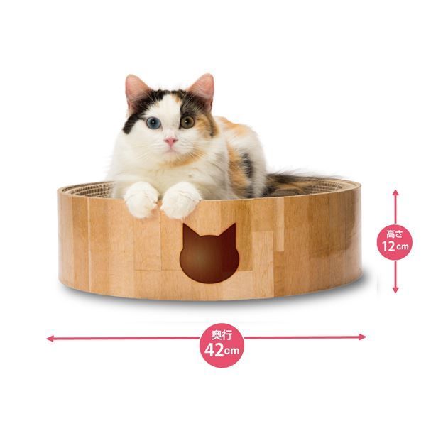 まとめ 猫壱 バリバリボウル 猫柄 ペット用品 ×5セット