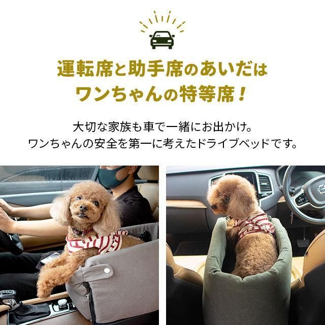 車載