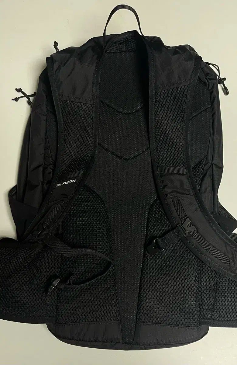 Salomon サロモン トレイルブレイザー 20 ブラック バックパック 5 回 着用