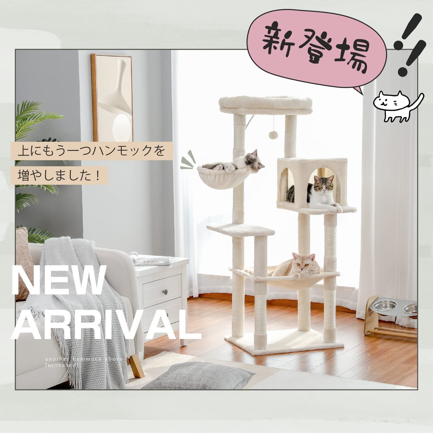 多頭飼い