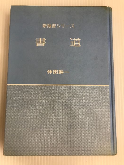 新独習シリーズ 書道 正しい手本と習い方＞ 仲田幹一 除か