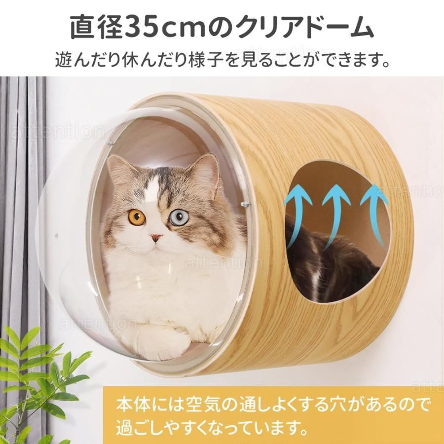 冬 宇宙船