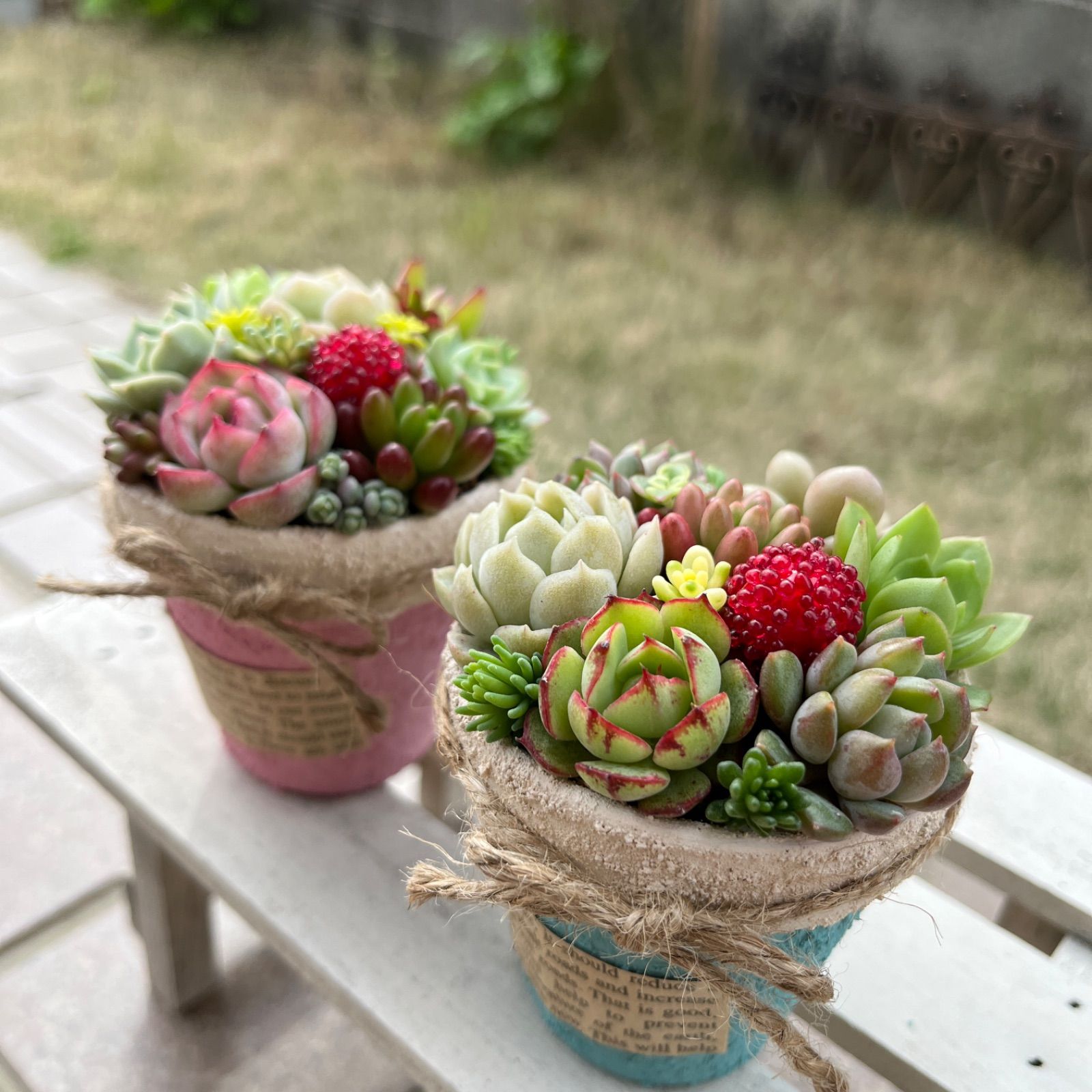 ハンドメイド多肉植物の寄せ植え♡そのまま飾れる♡2個セット