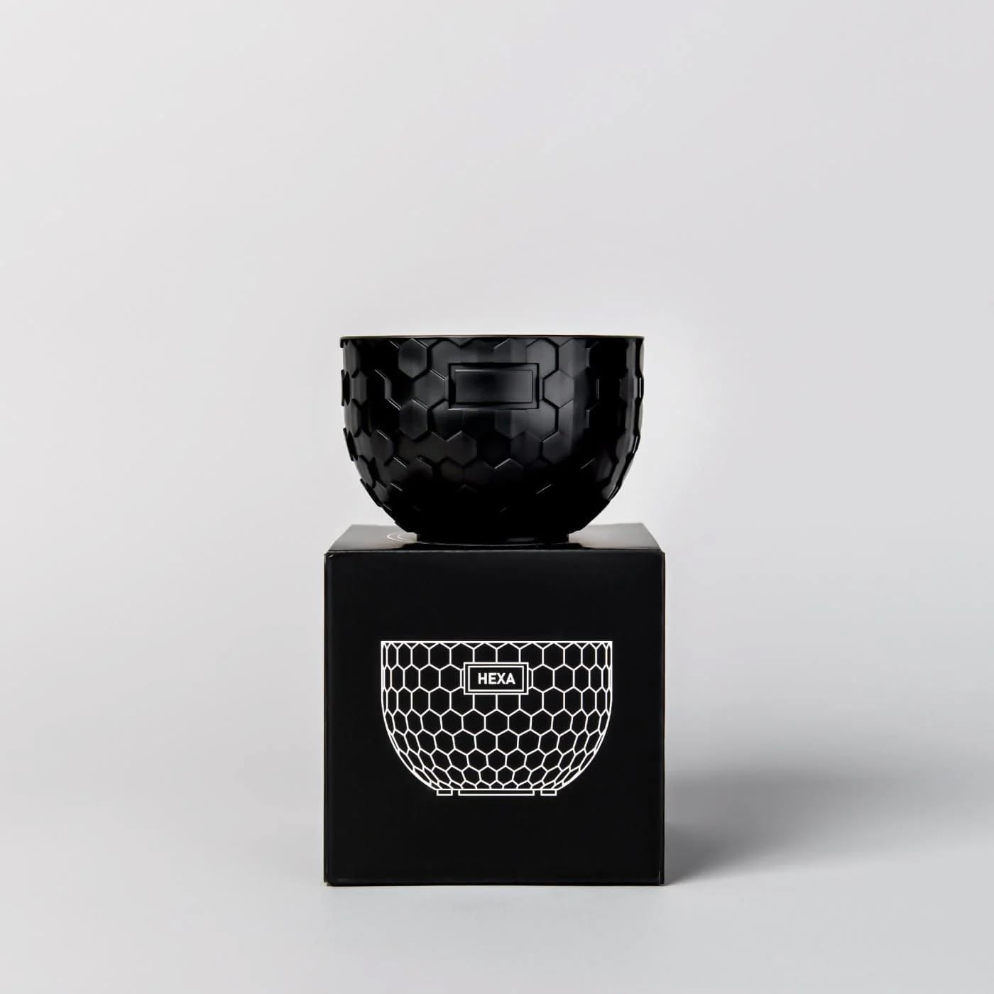 グラキリス 中株 まる型 塊根植物 黒鉢付き グラキリス 中株 まる型 塊根