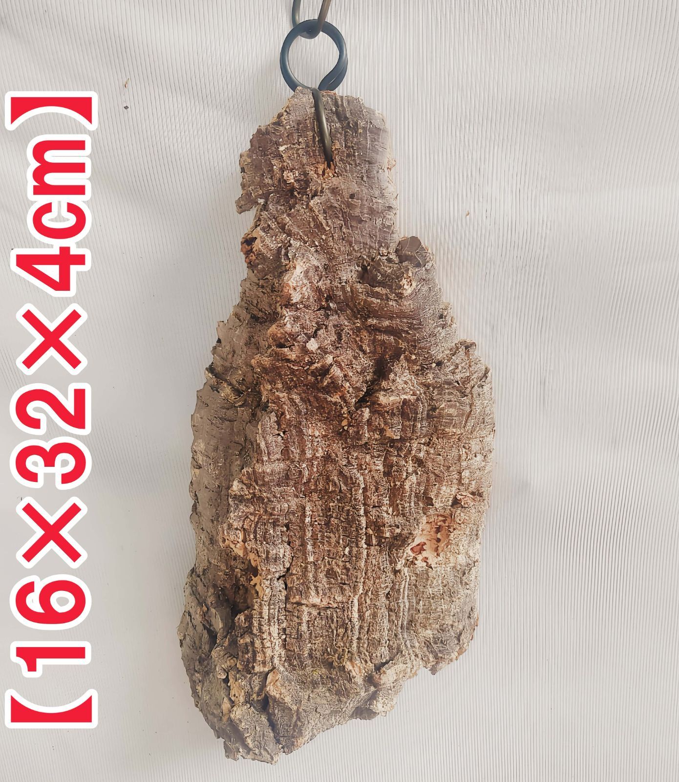 ドイツアンティークミニョネット 赤ずきんちゃん 1880年 オールビスク