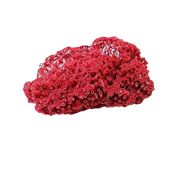 パイプオルガン珊瑚 珊瑚