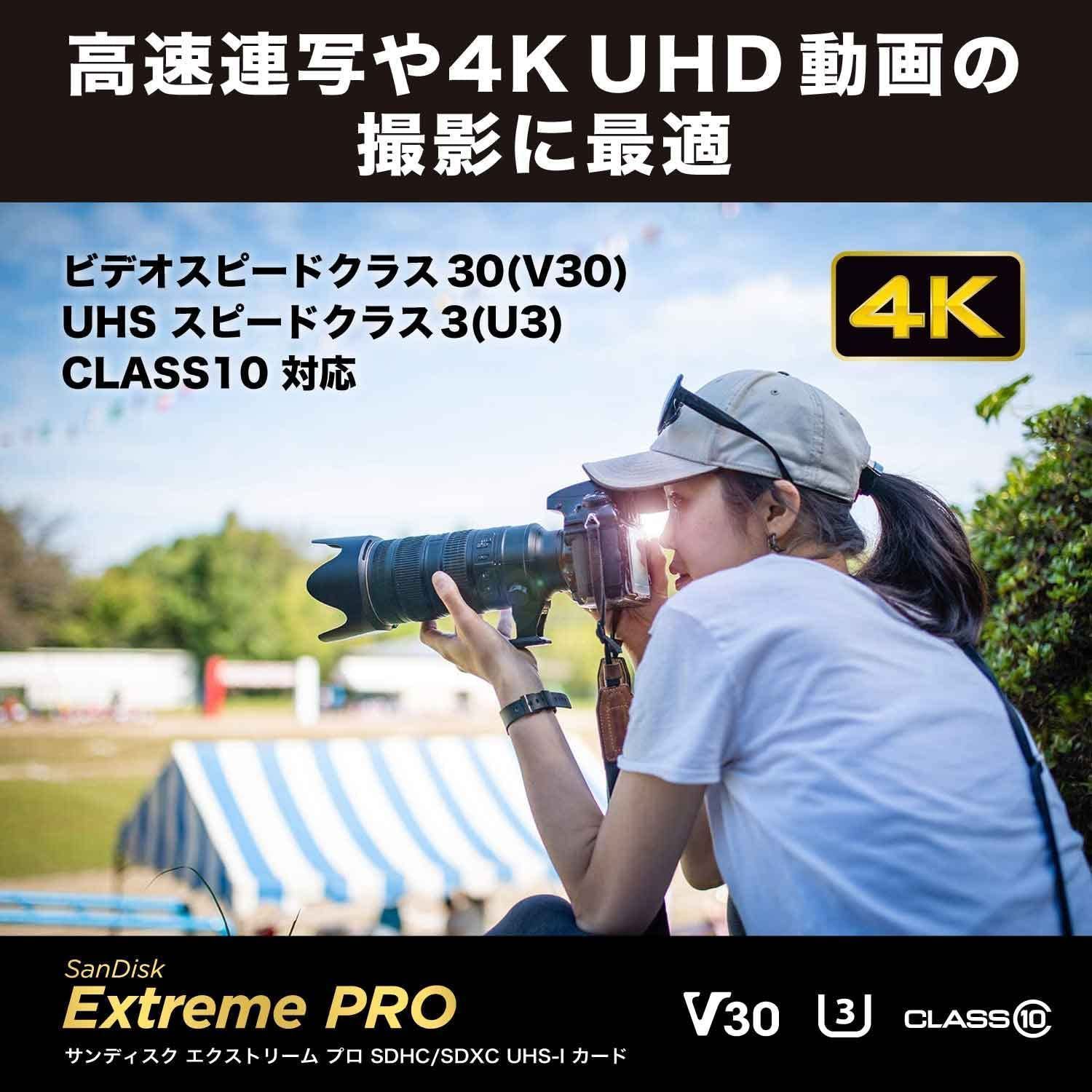 数量限定】UHS-I V30 Class10 読取最大200MB/s SDXC 256GB SanDisk SD