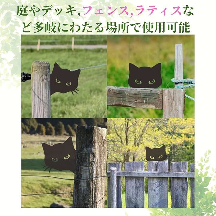 庭先の黒猫 夢二郷土美術館お庭番の黒猫「黑の助」Kuronosuke