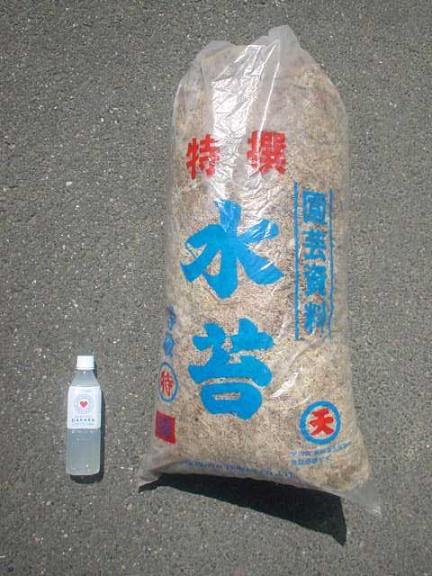 ～水ゴケ 国産水苔