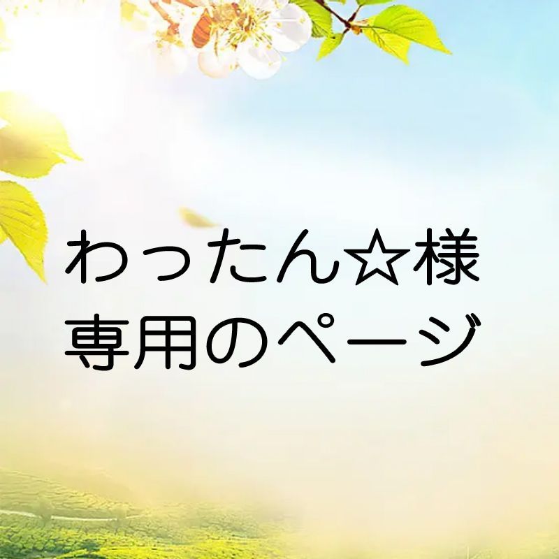 わったん☆ 様専用のページ - メルカリ 