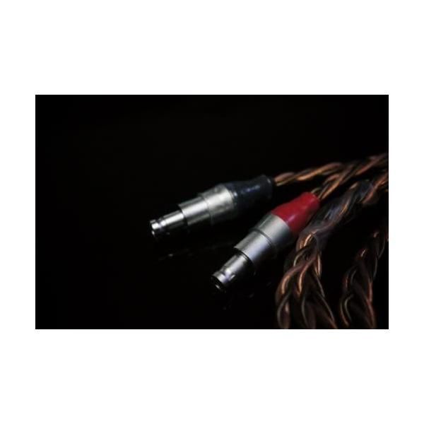 Whiplash Audio TWag V3 and TWcu V3 Hybrid Sennheiser HD800 UP786_INFO