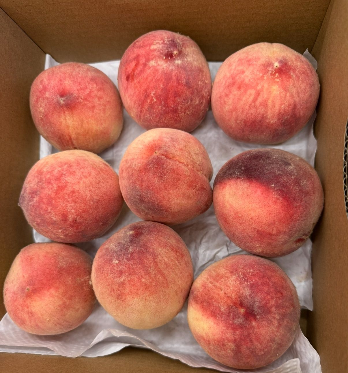 山梨県産 桃 2kg 硬め品種 訳あり クール便 - メルカリ