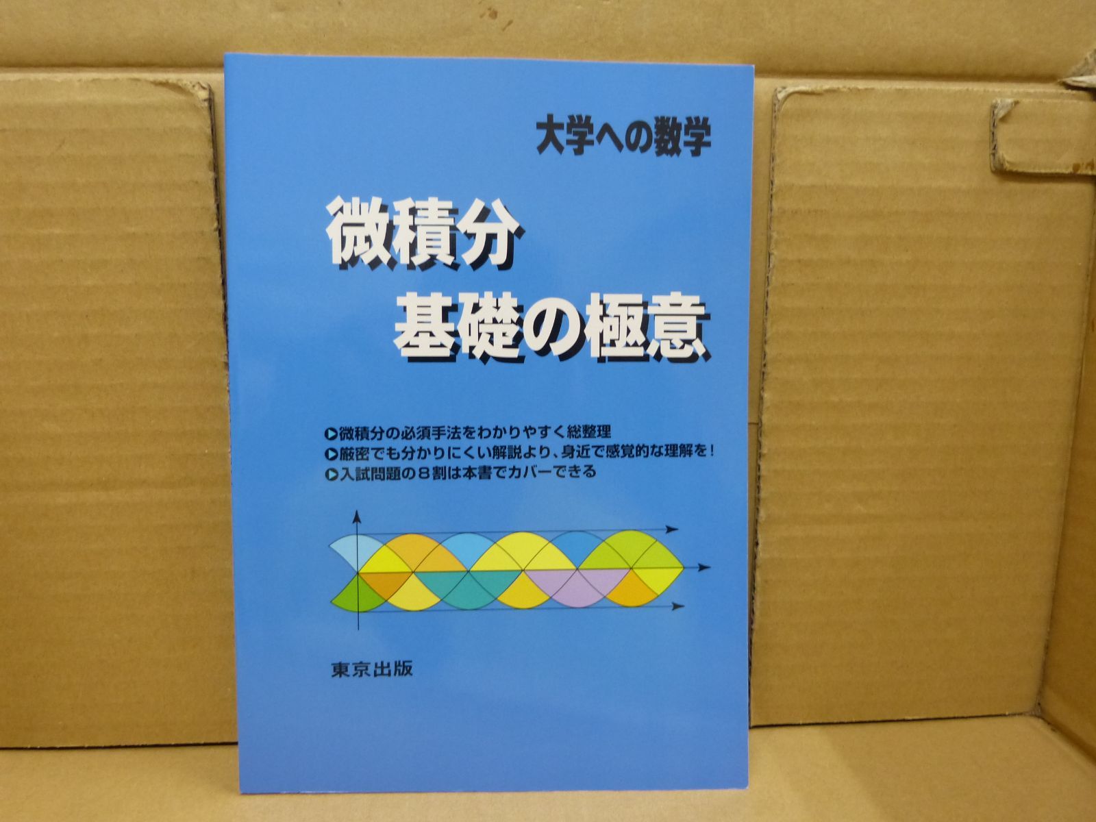 104-d 微積分/基礎の極意―大学への数学 単行本 <!-利用不可文字 