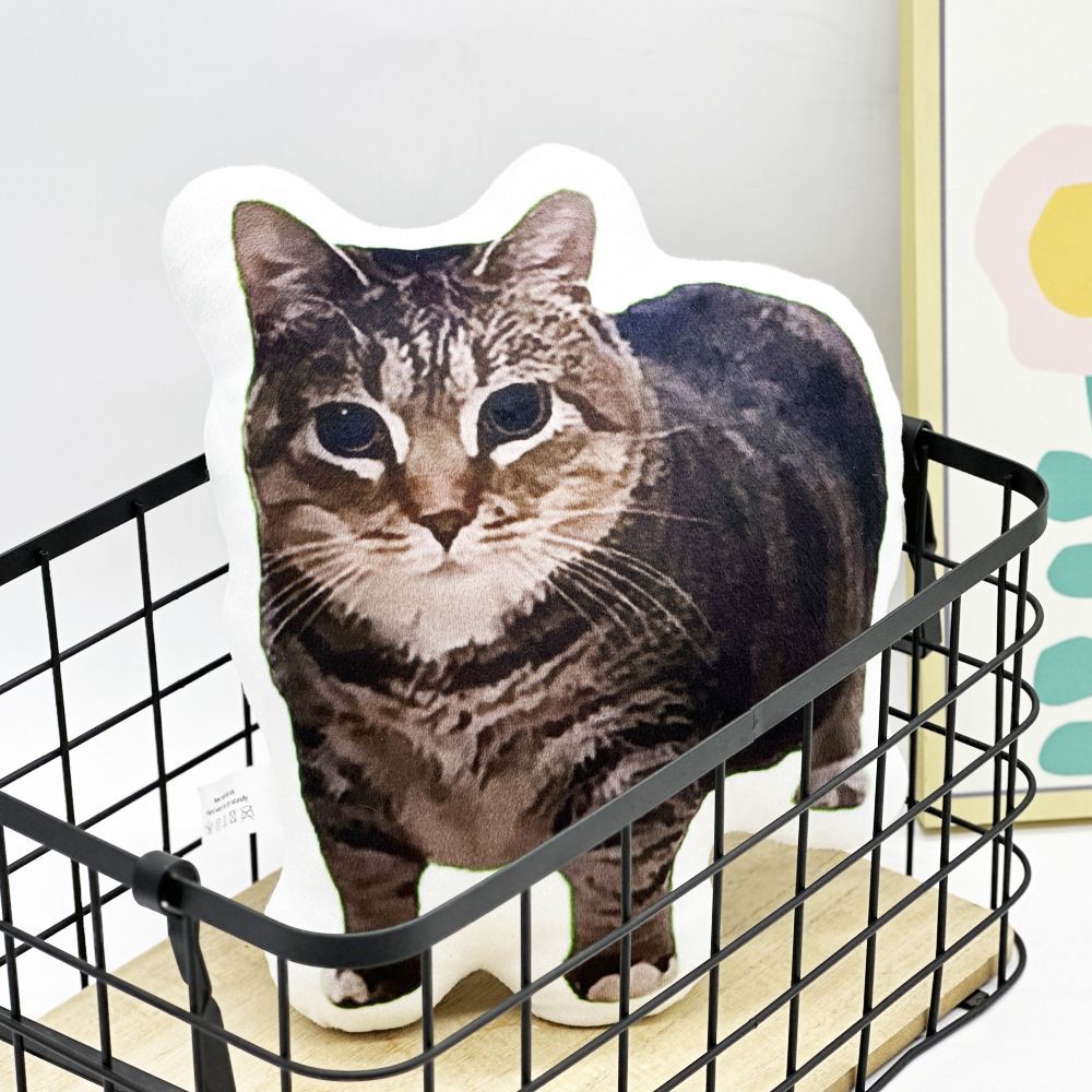 メル猫様尃用 Amazon.co.jp: 猫壱 キャットプレイキューブ (木目柄) : ペット用品