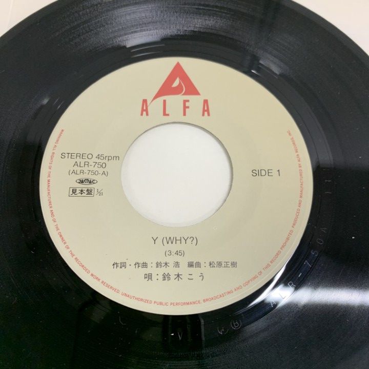 THE ELECTRIC CHAIRS 見本盤白ラベル レコード 見本盤 白ラベル 国内盤 LP レコード イギーポップ / The Idiot