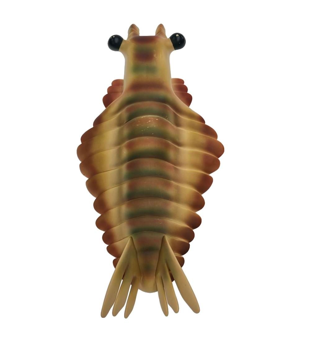 NHK フィギュア ソフビフィギュア NHK生命40億年はるかな旅