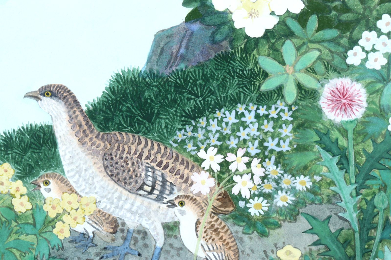 田中一村 「高嶺の花」 肉筆日本画15号 共シール 雷鳥 山 風景画