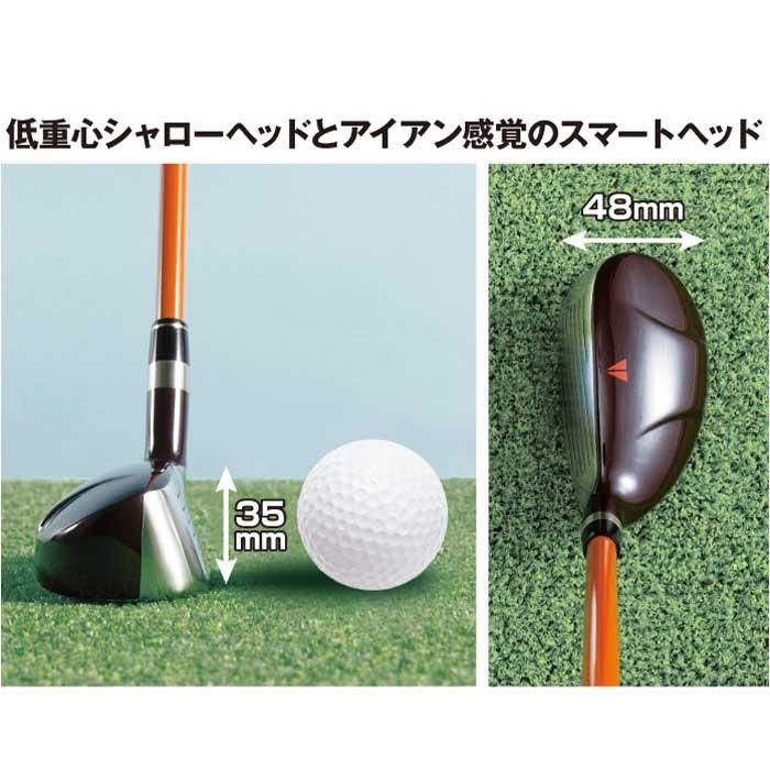 デリンジャートッパ(突破)タラコアイアン 3番 シャフト硬度SR